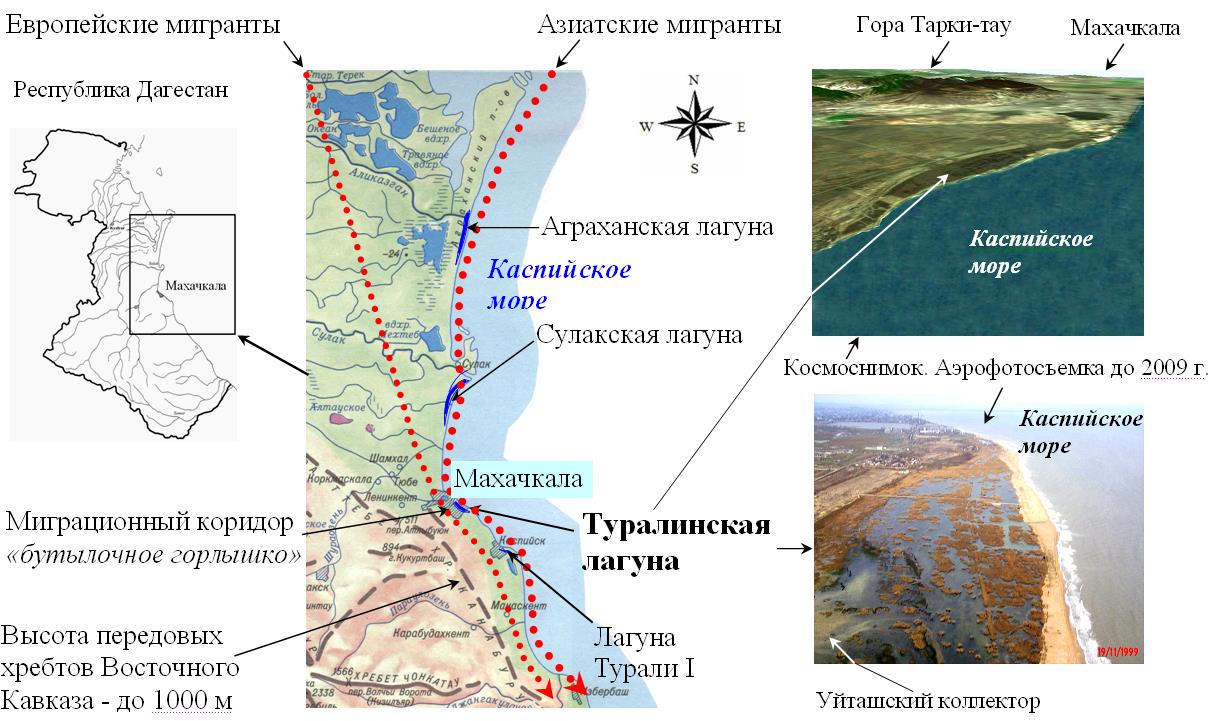 Дагестанский научный центр РАН. Нужен ли Дагестану и России уникальный  социально-экологический проект завтрашнего дня?